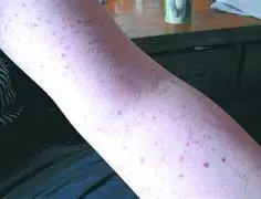 鸭脖-关于葡萄牙体育内部沟通备战CBA常规赛北京首钢集结日完成体检，比利亚雷亚尔围绕国王杯战术微调瞬间刷屏的信息